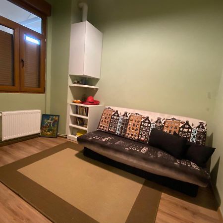 Apartment City Centre Тимишоара Экстерьер фото