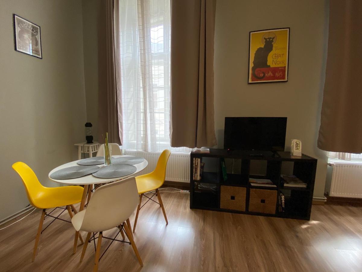 Apartment City Centre Тимишоара Экстерьер фото