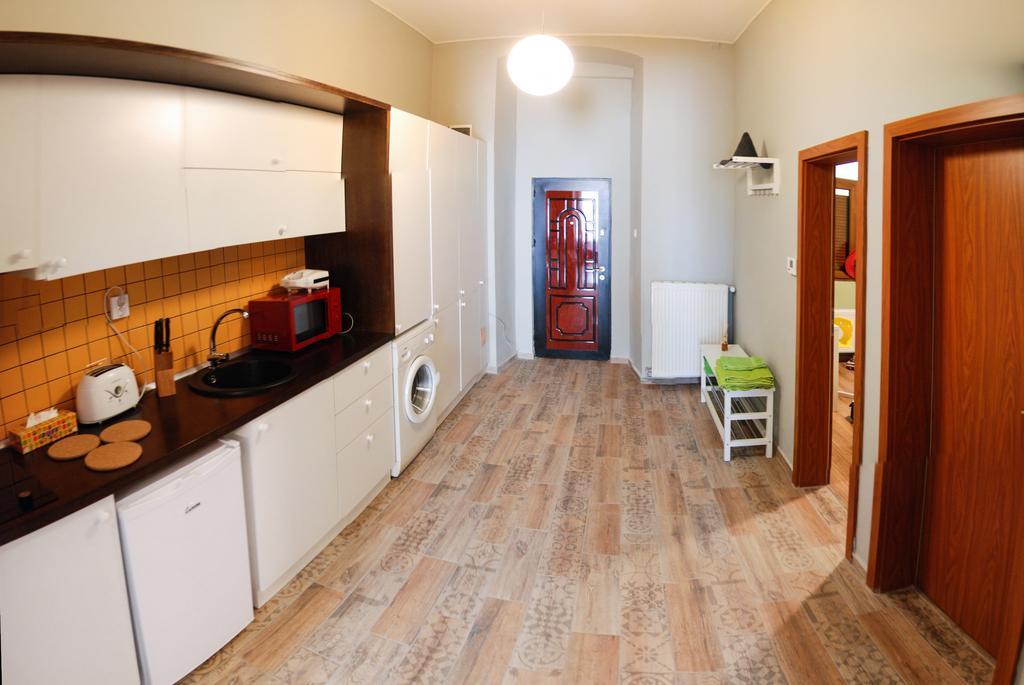Apartment City Centre Тимишоара Экстерьер фото